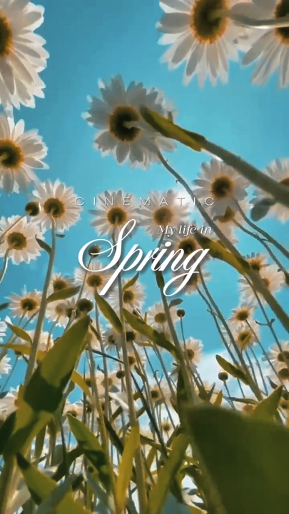 Cinematic spring 
