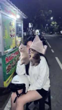versi ada kucing