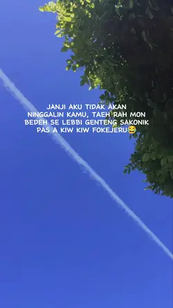 story whatsapp
