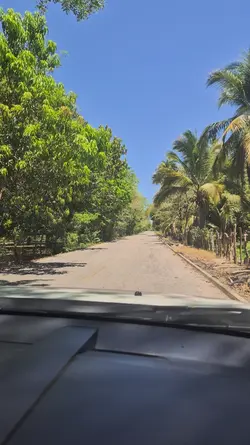 papá dia del padre