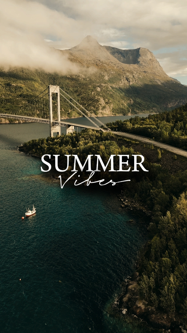 Summer Vibes 