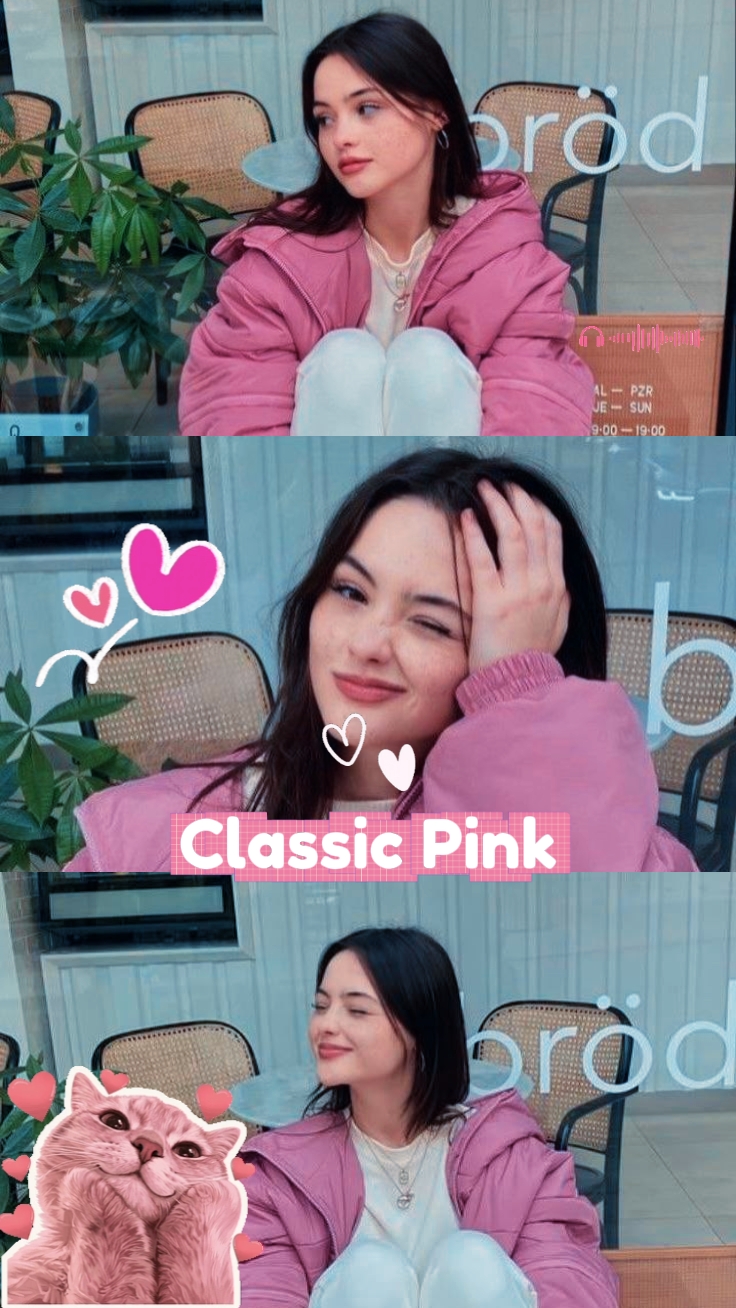 Pink Theme