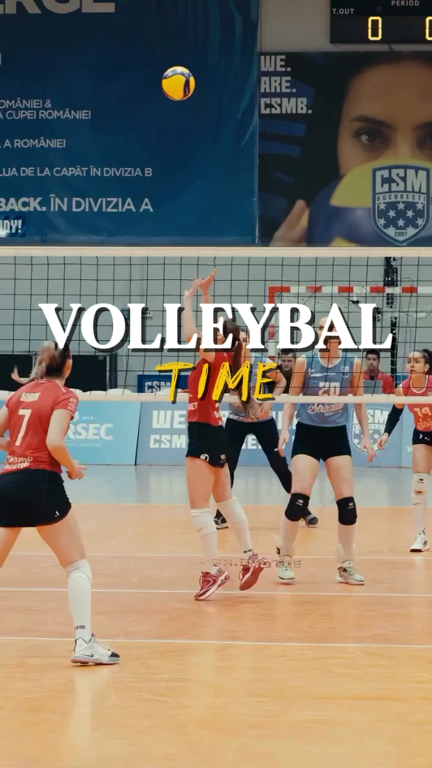 Voleibol