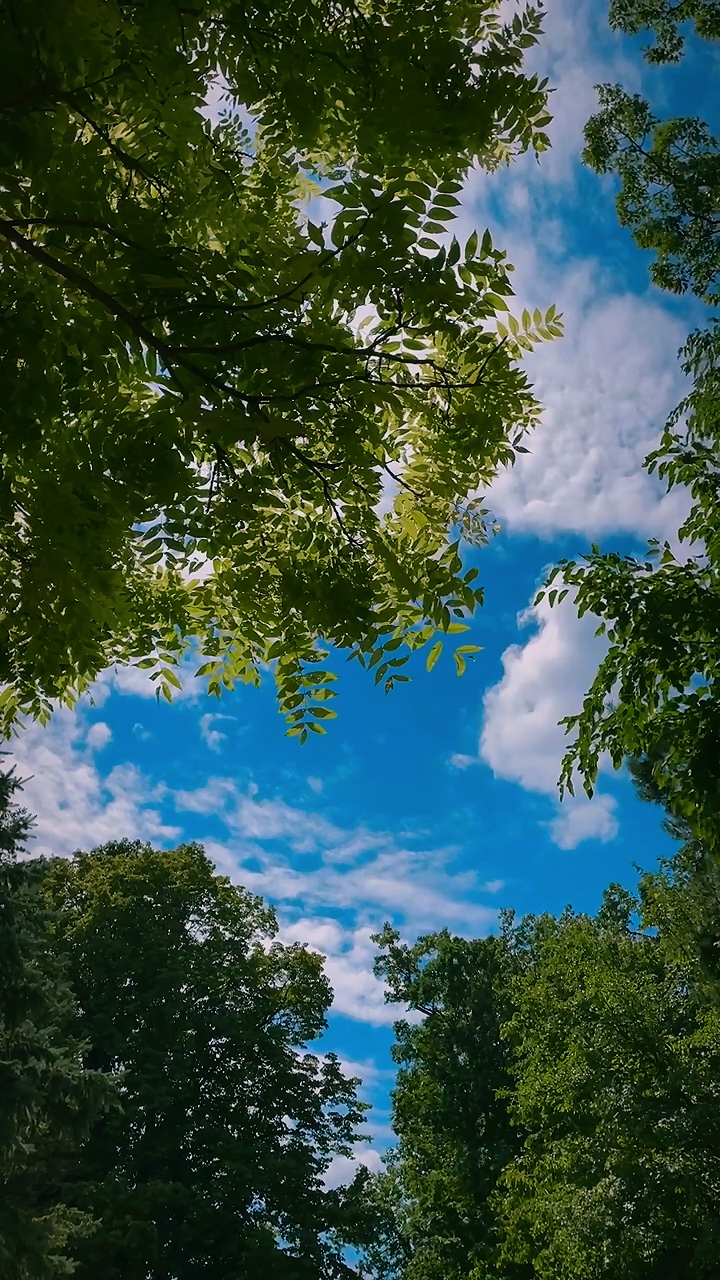 3 Video
