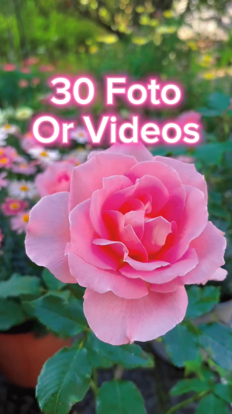 30 slides de vídeo