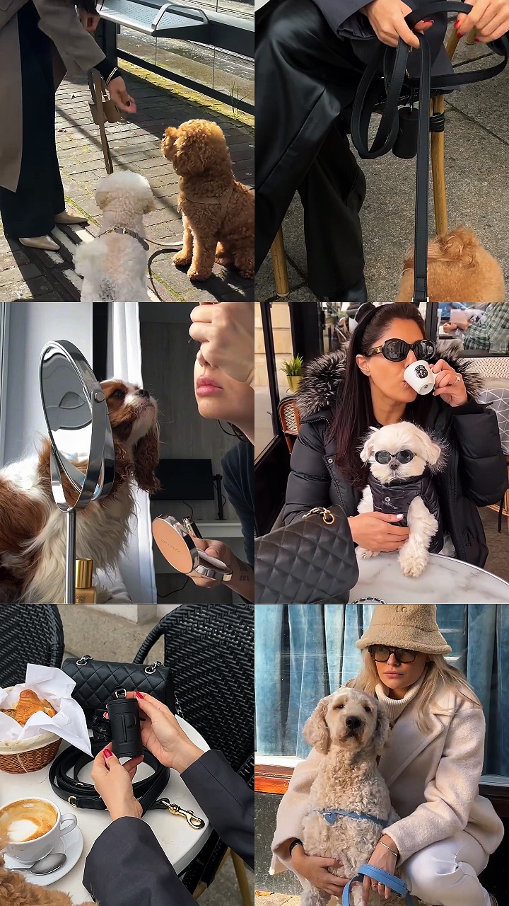 Momento con perro