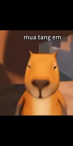 Mua tăng em Con Caby