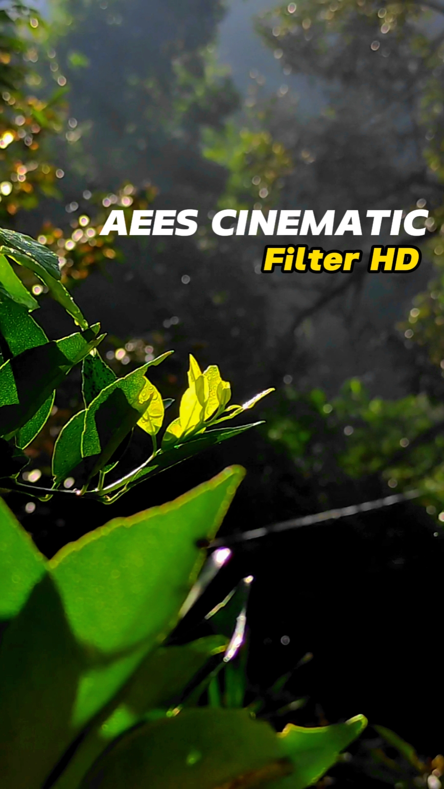 Aees Cinematic HD 
