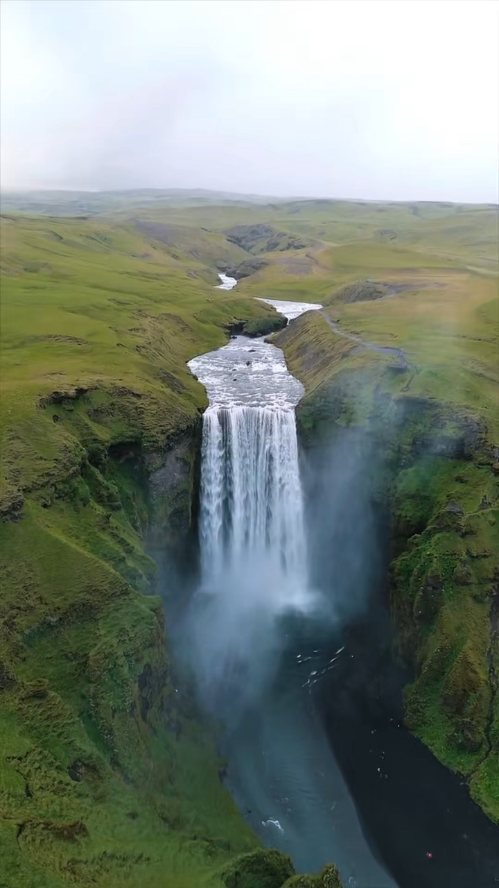 7 video clips nature