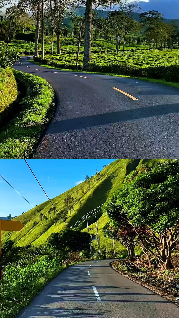 2 colagem de vídeo