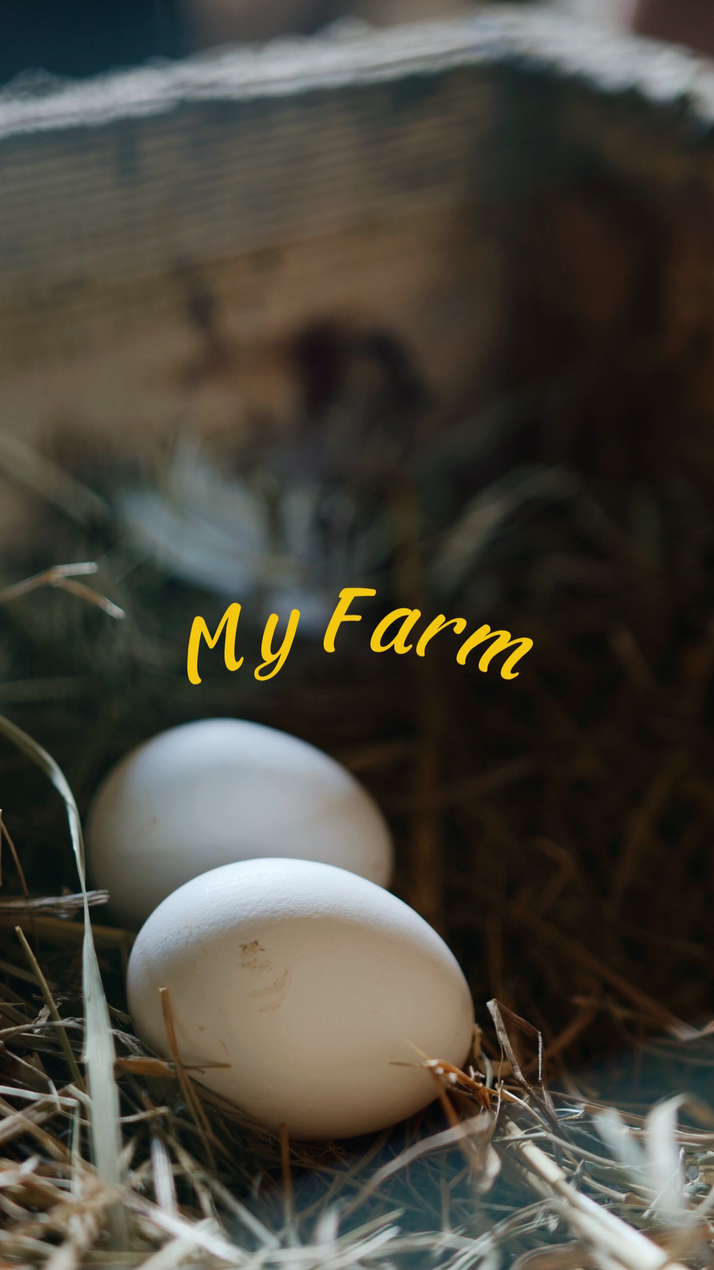 Mi Granja