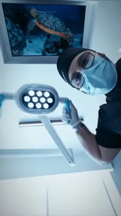 Odontologia