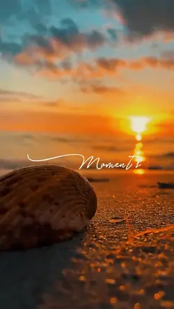 Golden Moments