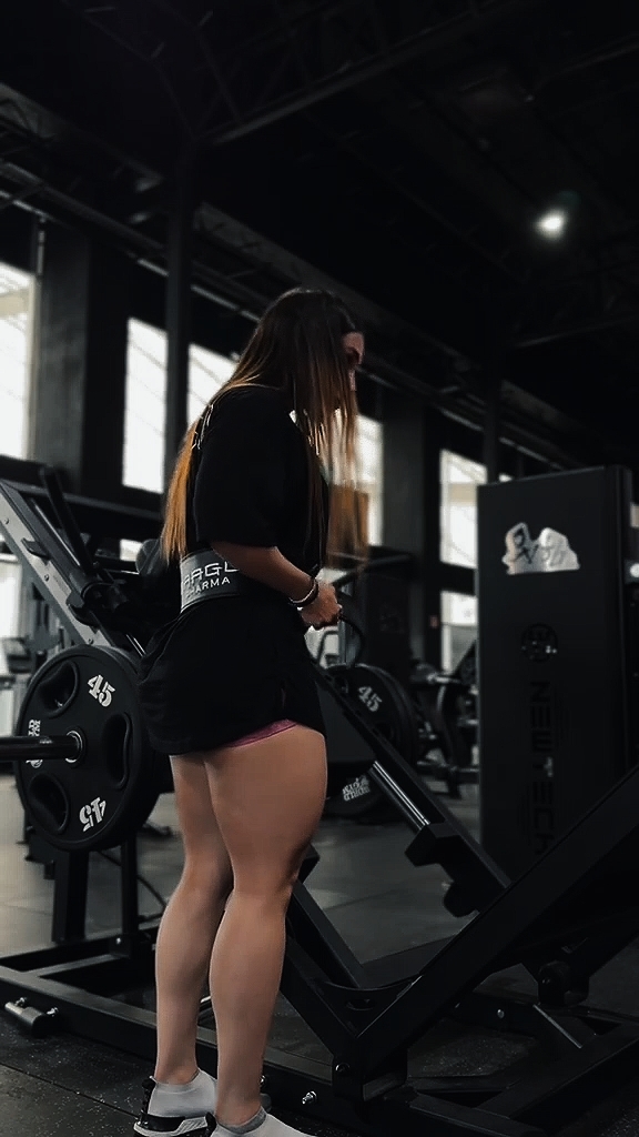 6clip gym pro