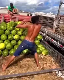 video tempelat 