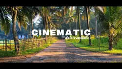 Cinematic 12 Klip HD
