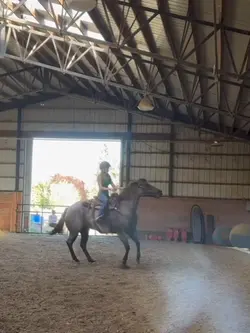 NEW PONYYY 😻