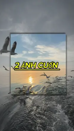 nhạc hót