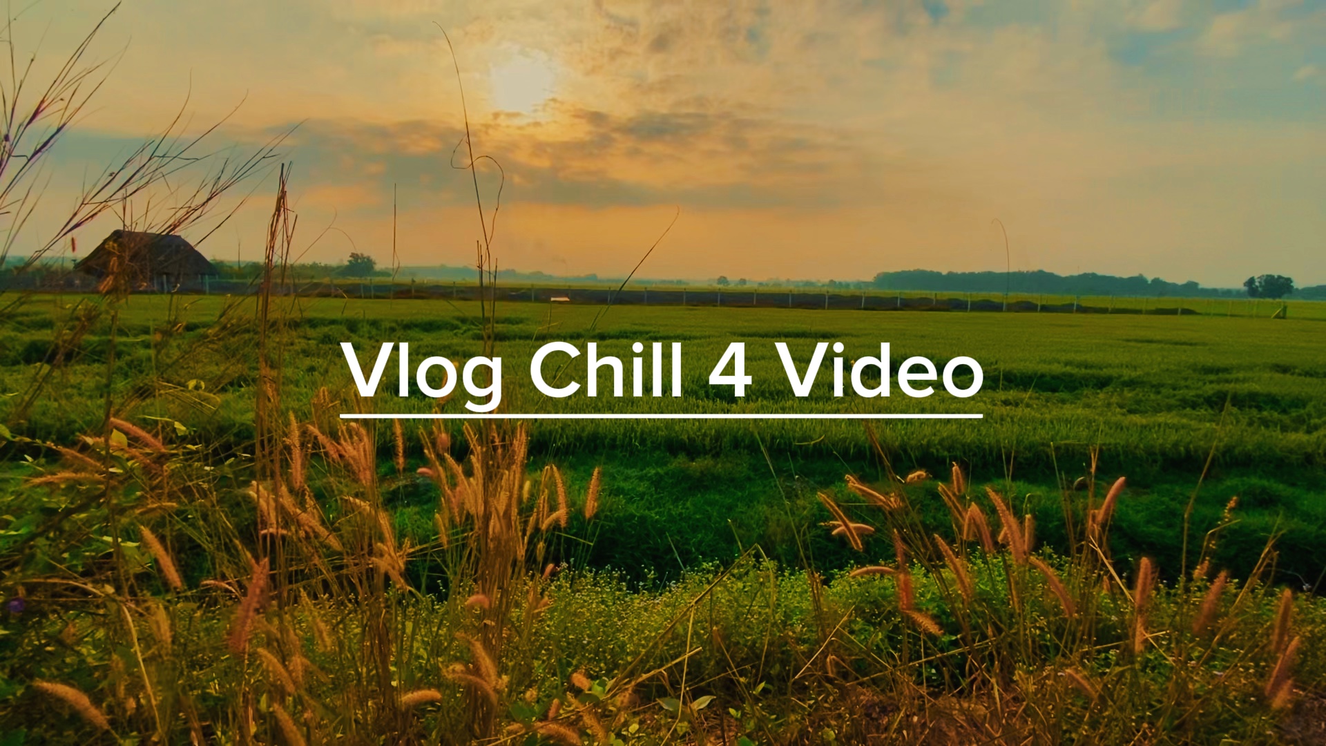 VLOG Relajación 4 Video