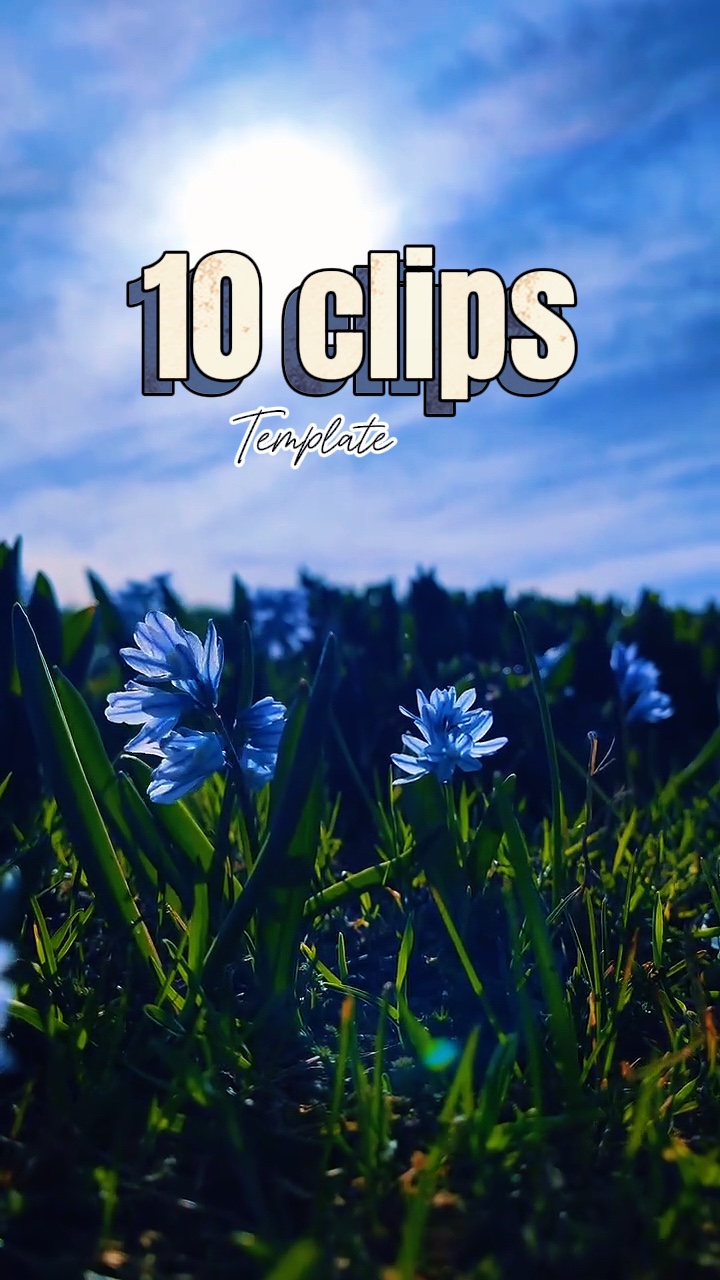 New Templates 