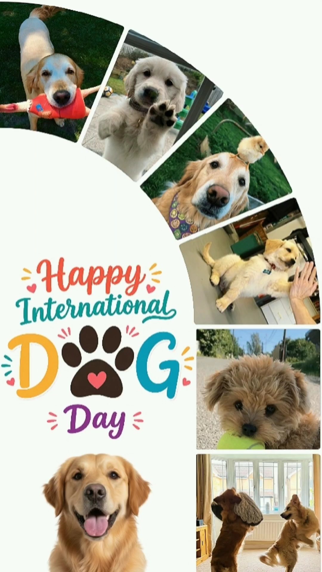 Feliz día del perro