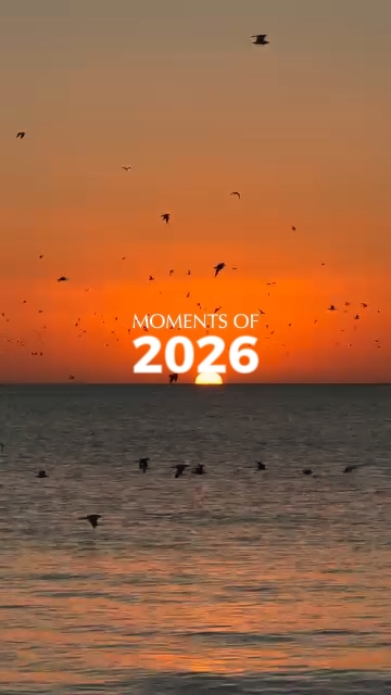 2026