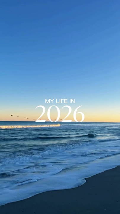 MINHA VIDA EM 2026