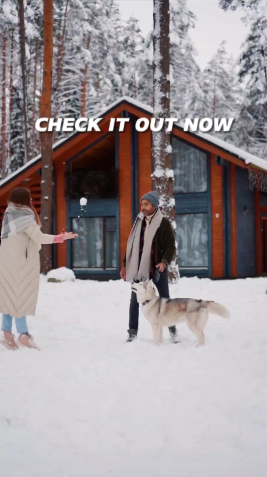 새로운 컬렉션 틱톡 스타일