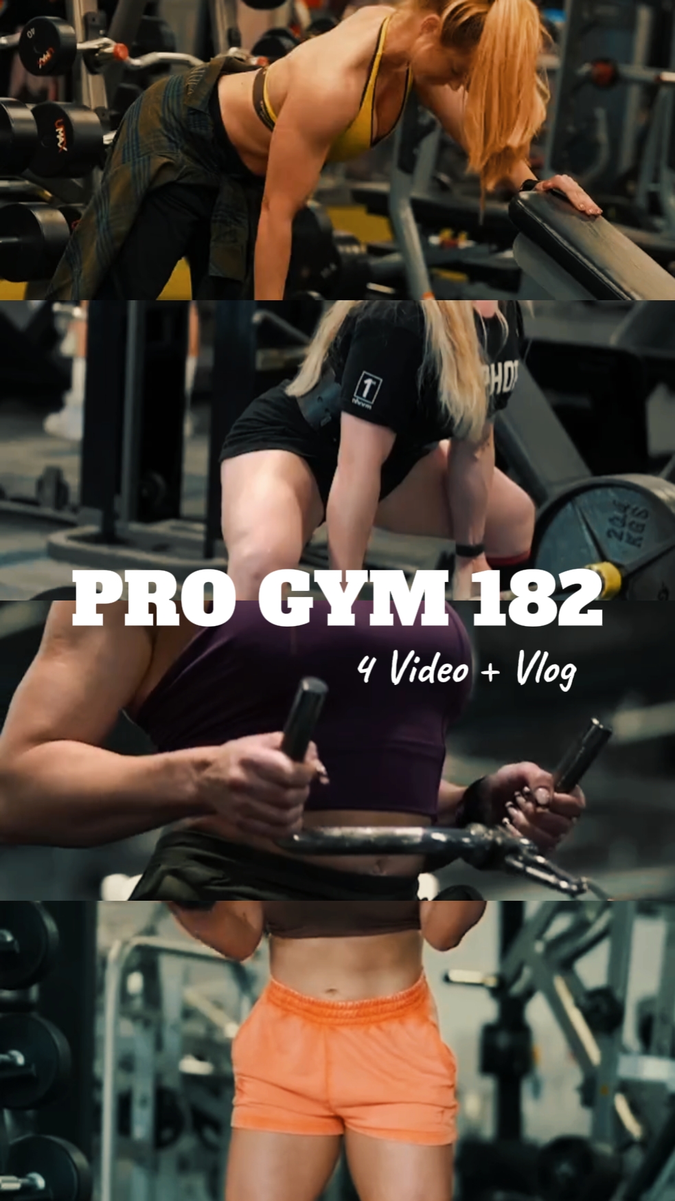 GIMNASIO PROFESIONAL | 4 VIDEO