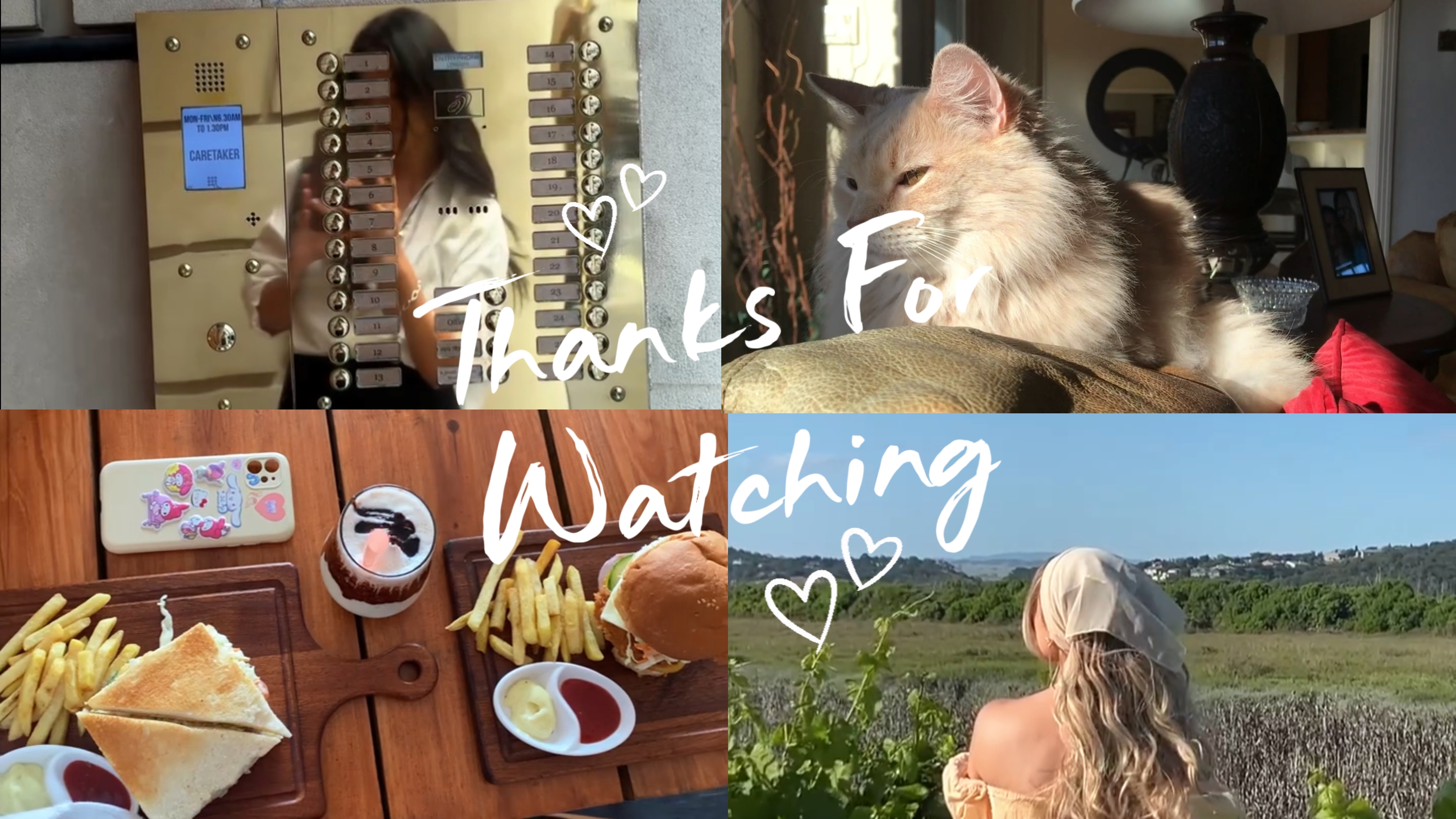 Cerrar vlog 