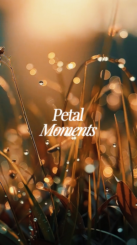 Petal anlar