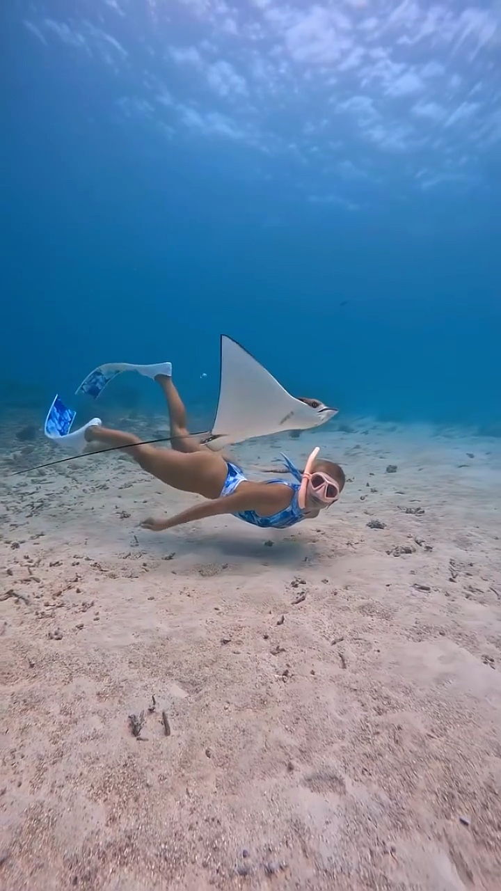 Diving template