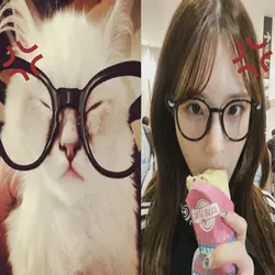 nerd cat