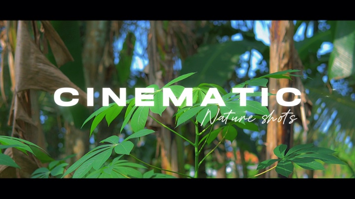 Sinematik 11 Klip