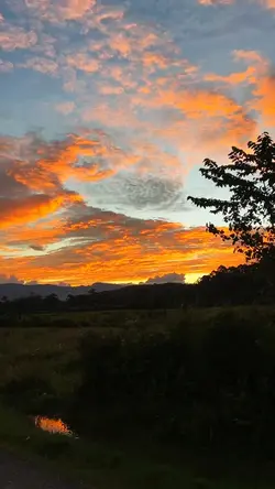 senja hd