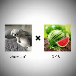 〇〇 × 〇〇 = ??