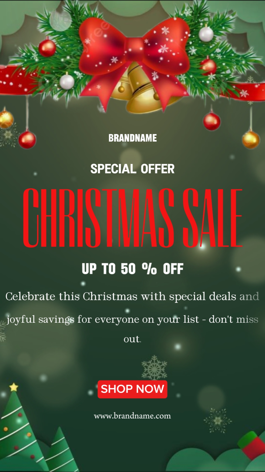 CHRISTMAS SALE OFFER