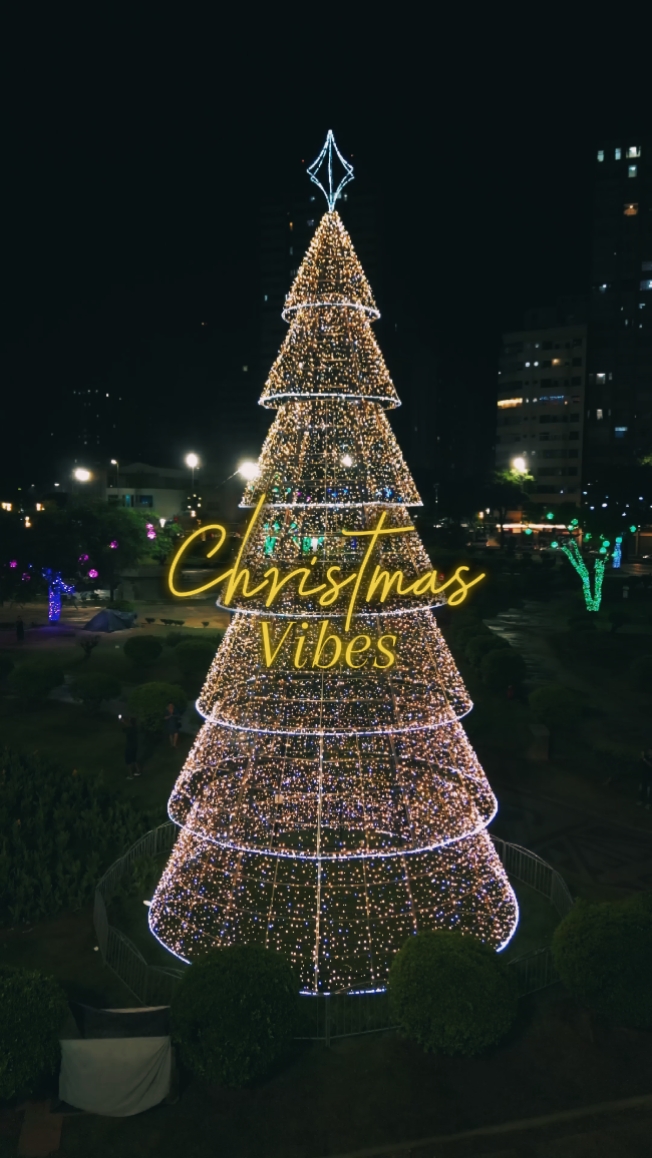 Christmas Vibes 