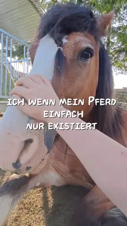 es ist fr immer so