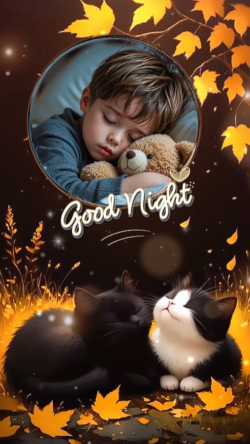 Boa noite