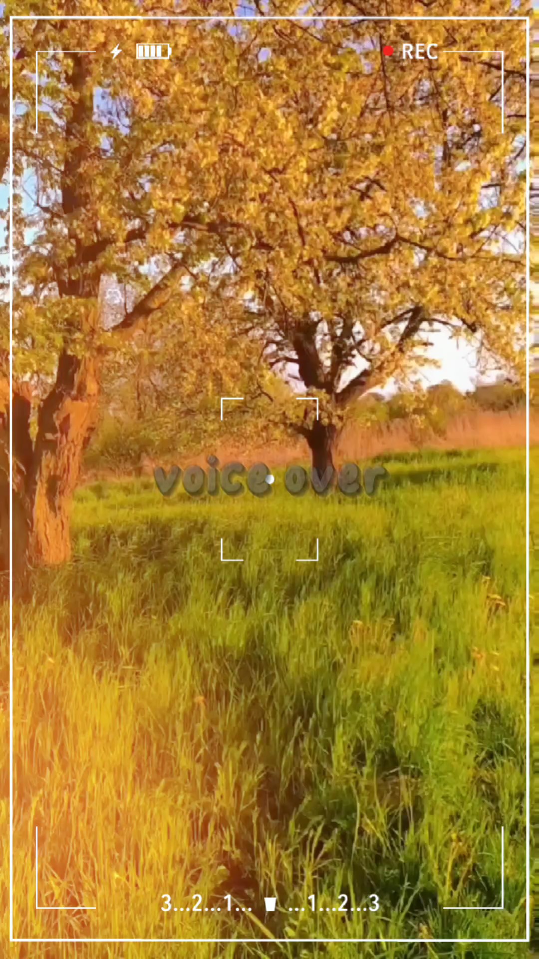 Voz en off
