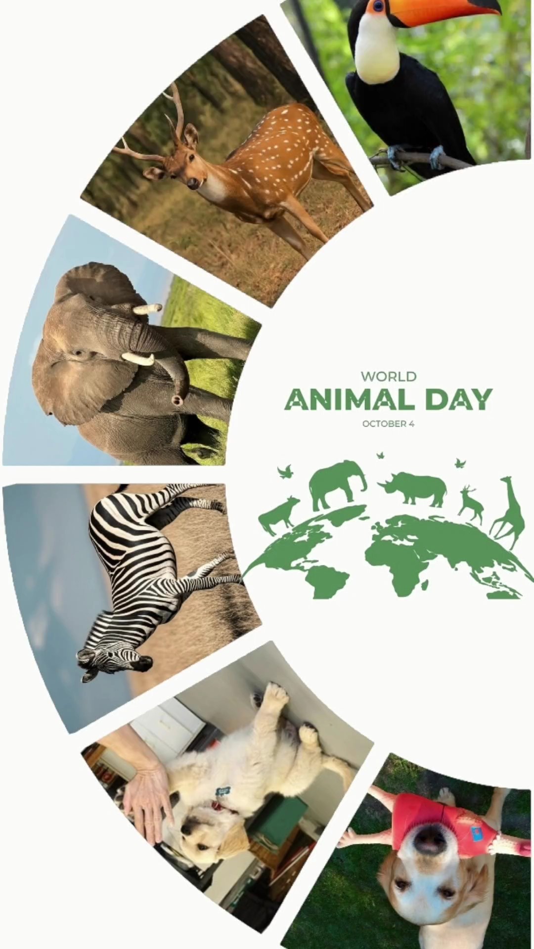 world animal day