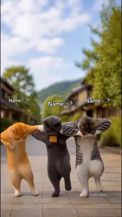 Write Your Names