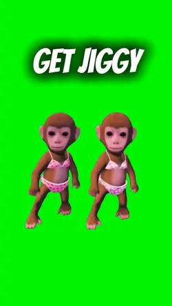 Monkeys get Jiggy