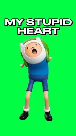 MY STUPID HEART FINN