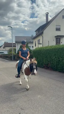 Wie fliegen 