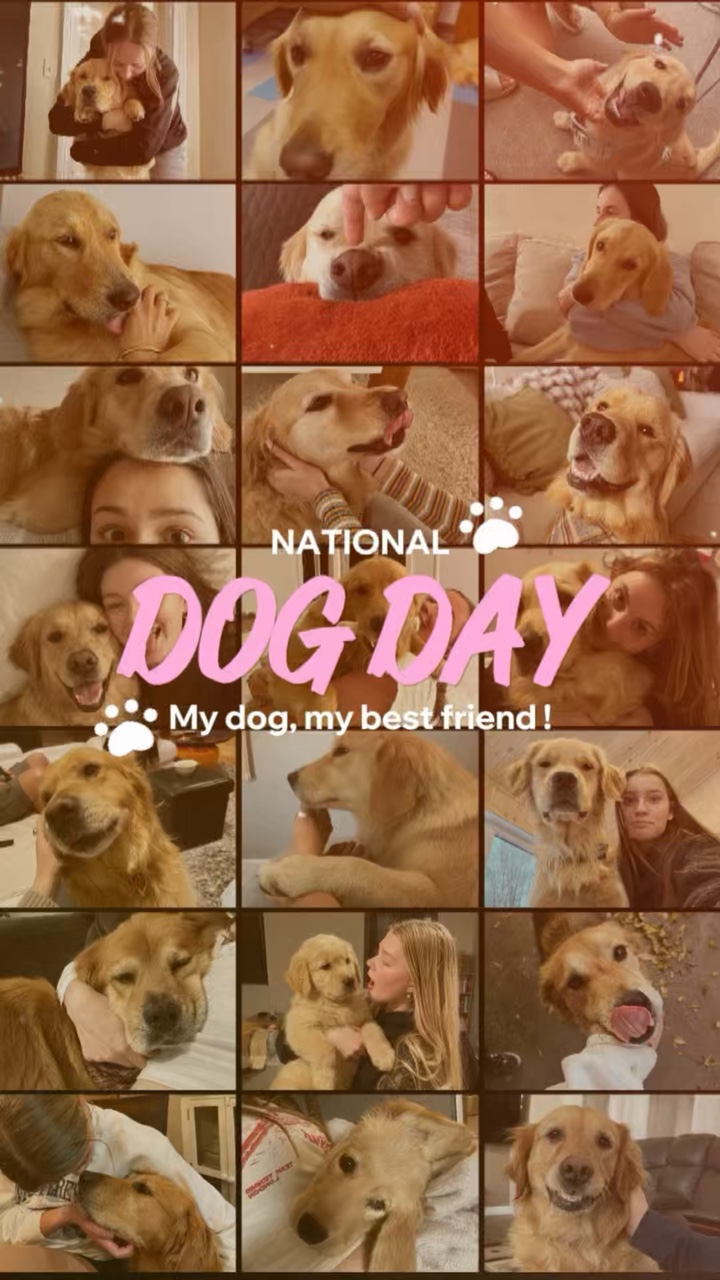 National dog day