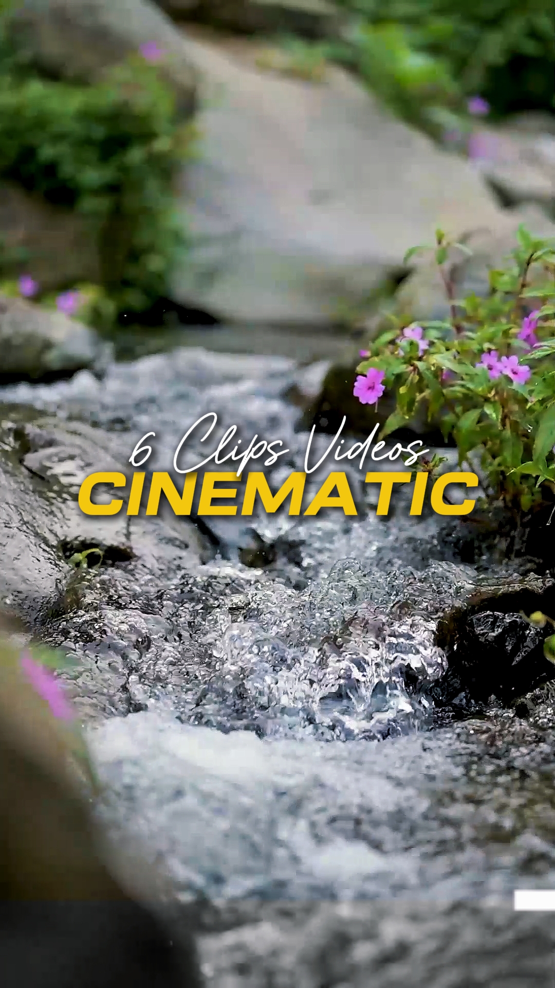 Cinematic 6 Videos