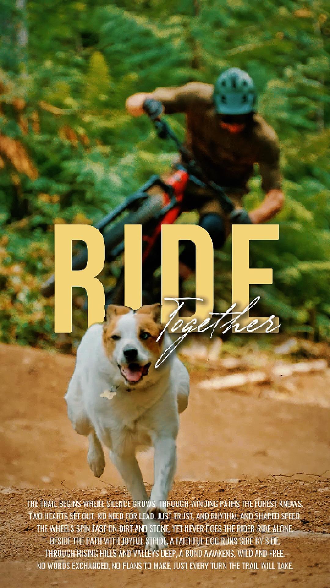 mtb downhill