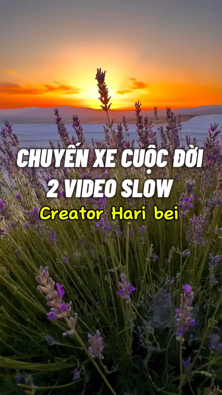 Chuyến xe cuộc đời